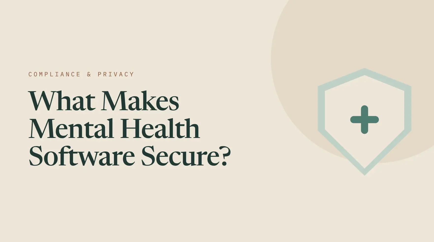 What Makes Mental Health Software Secure?